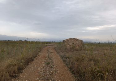 Tour Wandern Lézignan-Corbières - La Roche Trouée (2) - Photo