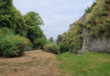 Randonnée Marche Mont-Dol - dol de  Bretagne  - Photo