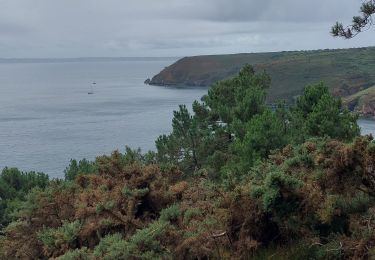 Trail Walking Crozon - cap de - Photo