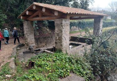 Tour Wandern Callas - Callas, Chapelle St Auxile, forêt de l'Ubac - Photo