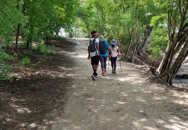 Trail Walking Sainte-Luce - Boucle Corps de Garde - Photo