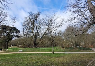 Tocht Stappen Antony - Boucle Antony - Chatenay - Igny - Bièvres - Photo