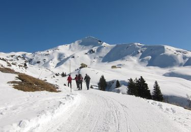 Trail On foot Moggio - Sentiero Antichi Cippi Confinari - Photo