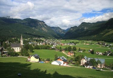 Tocht Te voet Gosau - Herrenweg - Photo