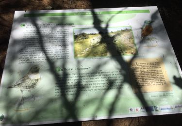 Tour Wandern Borée - Randonnée au Mont Mézenc  - Photo