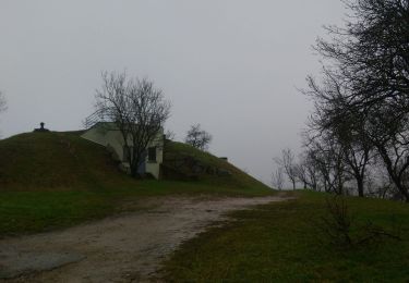 Trail Walking Beblenheim - Perles du vignoble  - Photo