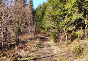 Tour Wandern Hohenfels - Promenade de la Vallée des fées  - Photo