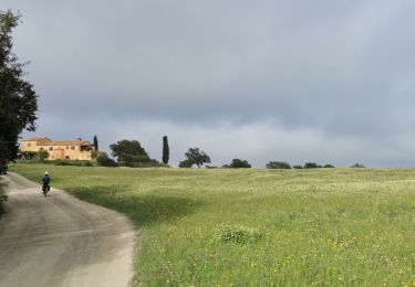 Tour Mountainbike Palafrugell - mont cargol - Photo