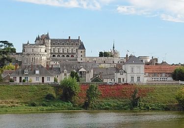 Tour Wandern Amboise - Amboise - GRs - 9km 95m 2h00 - 2018 09 30 - Photo