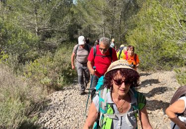 Tour Wandern Pourrières - Puyloubier  - Photo