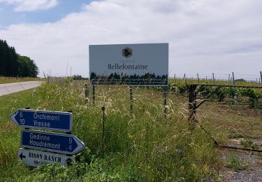 Tocht Stappen Bièvre - Bellefontaine 250521 - Photo