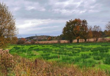 Tour Wandern Merbes-le-Château - Balade à Fontaine-Valmont - Photo