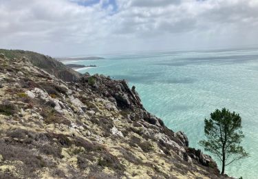 Tocht Stappen Crozon - Étape 6/6 Tour de Crozon (Morgat-Pentrez) - Photo