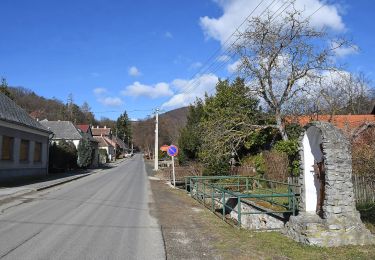 Excursión A pie Velem - Források Útja - Photo