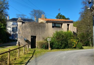 Tocht Te voet Saint-Benoît - SityTrail - st Benoit : la médoquerie - Photo