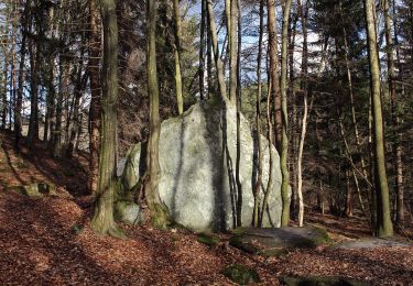 Percorso A piedi Gemeinde Wiesmath - Wiesmath - Beilstein - Wiesmath - Photo