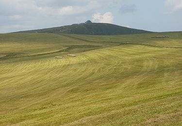 Tour Wandern Woll - BREITSOUZE - DE LA SOURCE DE LA MOSELOTTE AU LAC DE LA LANDE - Photo