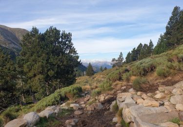 Trail Walking Casteil - canigou. j2 - Photo