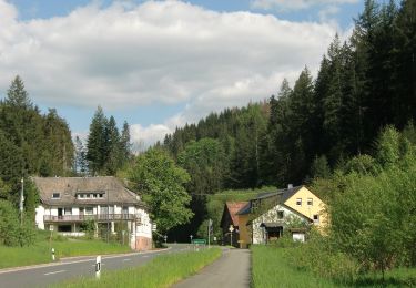 Percorso A piedi Presseck - Durch die Kösten RWF 56 - Photo