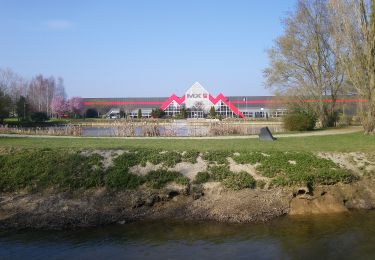 Randonnée A pied Acigné - Le Petit Pèlerin - Photo