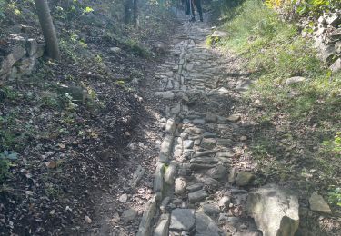 Tocht Stappen Vézénobres - Venez ivre - Photo