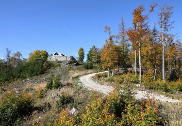 Randonnée A pied Gemeinde Kirchberg an der Pielach - Hohenstein - Photo