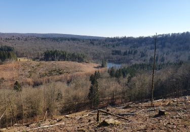 Tour Wandern Florenville - rando herbeumont 8-03-2022 - Photo