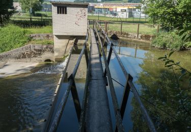 Tocht Te voet Münchwilen (TG) - Münchwilen - Frauenfeld - Photo