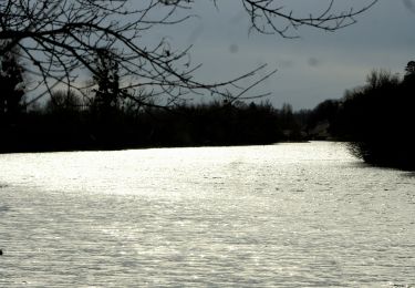 Tour Wandern Rochefort-sur-Nenon - dessus et dessous les roches - Photo