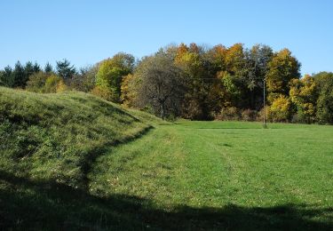 Tocht Te voet Lenningen - Rote Gabel Sattelbogen - Erkenbrechtsweiler - Grabenstetten - Photo