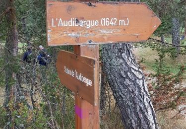 Tour Wandern Caille - Mouliere - Photo
