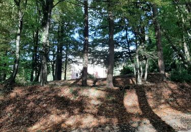 Trail Walking Binche - Buvrinnes 23 10 21 - Photo
