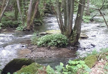 Tocht Stappen Libin - Lesse - Promenade de la Lesse (LI06) - Photo