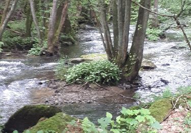 Randonnée Marche Libin - Lesse - Promenade de la Lesse (LI06) - Photo