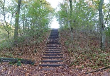 Tour Zu Fuß Blaricum - Tafelbergheide - Photo