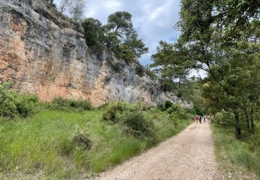 Excursión Senderismo Mérindol - PF-Puget - Autour du Vallon du Dégoutau - 03.06.2021 - Photo