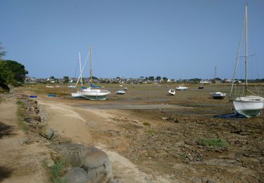 Tocht Stappen Trébeurden - Trébeurden - Penvern GR34 Île Grande - 11.3km 60m 2h50 - 2023 09 05 - Photo