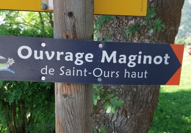 Randonnée Marche Val-d'Oronaye - FORT DE ST-OURS HAUT - Photo