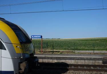 Tocht Stappen Chastre - gb - Blanmont (ou Mont st Guibert) - Villers la Ville - Photo