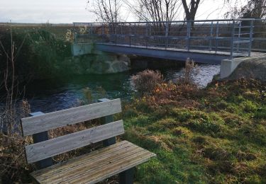 Randonnée Marche Meyenheim - Entre les berges de l'Ill et du canal Vauban  - Photo