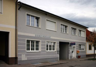 Tour Zu Fuß Zemendorf-Stöttera - Zemendorf - Pöttelsdorf - Walbersdorf - Marz (Nordic Walking) - Photo