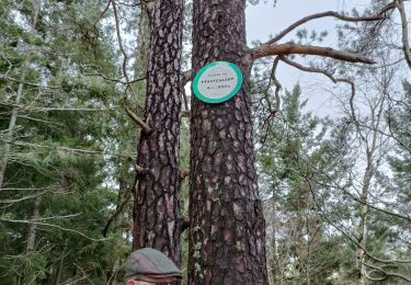 Trail Walking Still - oberhaslach - Photo
