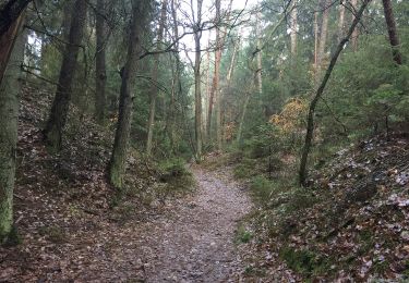 Tour Zu Fuß Buchholz in der Nordheide - Ho-Se Roter Rundwanderweg - Photo