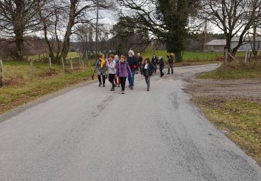 Trail On foot Rosiers-d'Égletons - Le Puy des Places - Photo