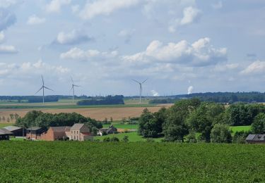Trail Walking Tinlot - boucle sur Seny et Warzée - Photo