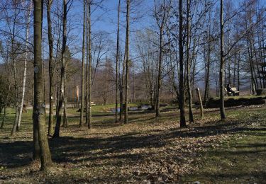 Randonnée A pied Wernersberg - Richard-Löwenherz-Weg - Photo