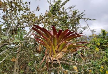 Tocht Stappen Quiroga - Laguna de Cuicocha - Photo