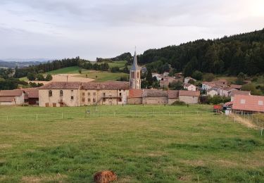 Randonnée Marche Sauvessanges - PR de randonnée de Sauvessanges  - Photo