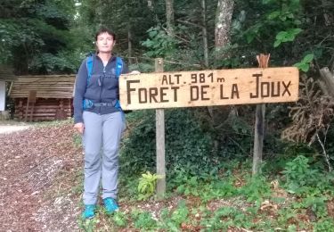 Tour Wandern Fessevillers - Étape 4 : Fessevillers à Bief d'Etoz - Photo