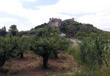 Trail Hybrid bike Foz do Arelho - Obidos - Photo